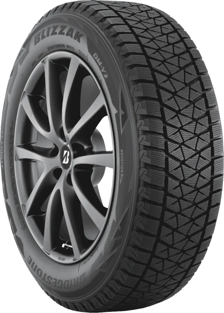Bridgestone - Blizzak DM-V2