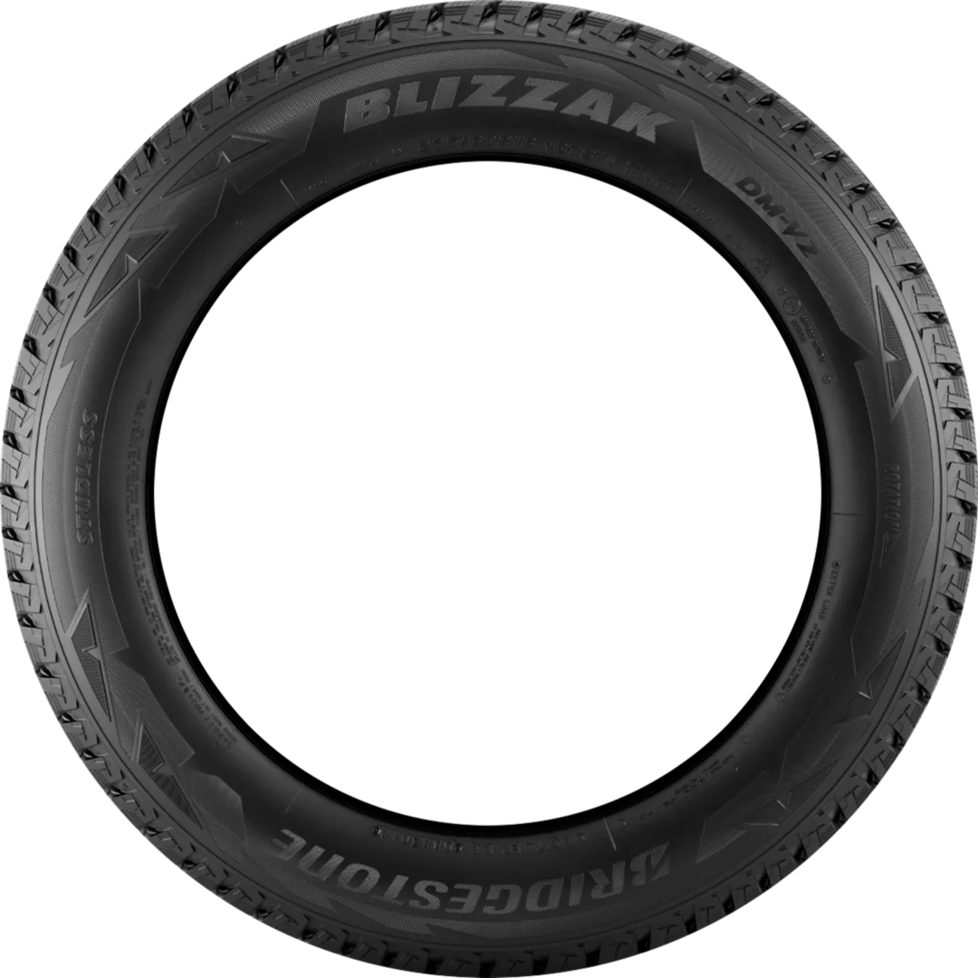Bridgestone - Blizzak DM-V2