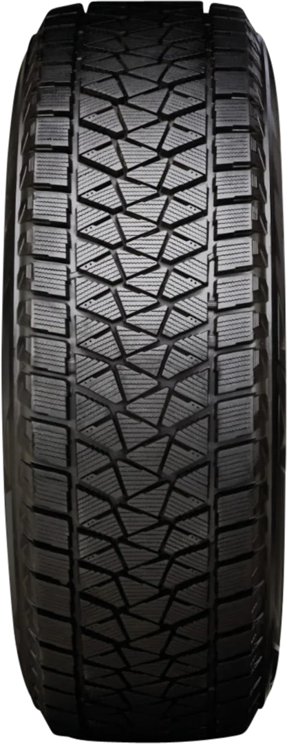 Bridgestone - Blizzak DM-V2