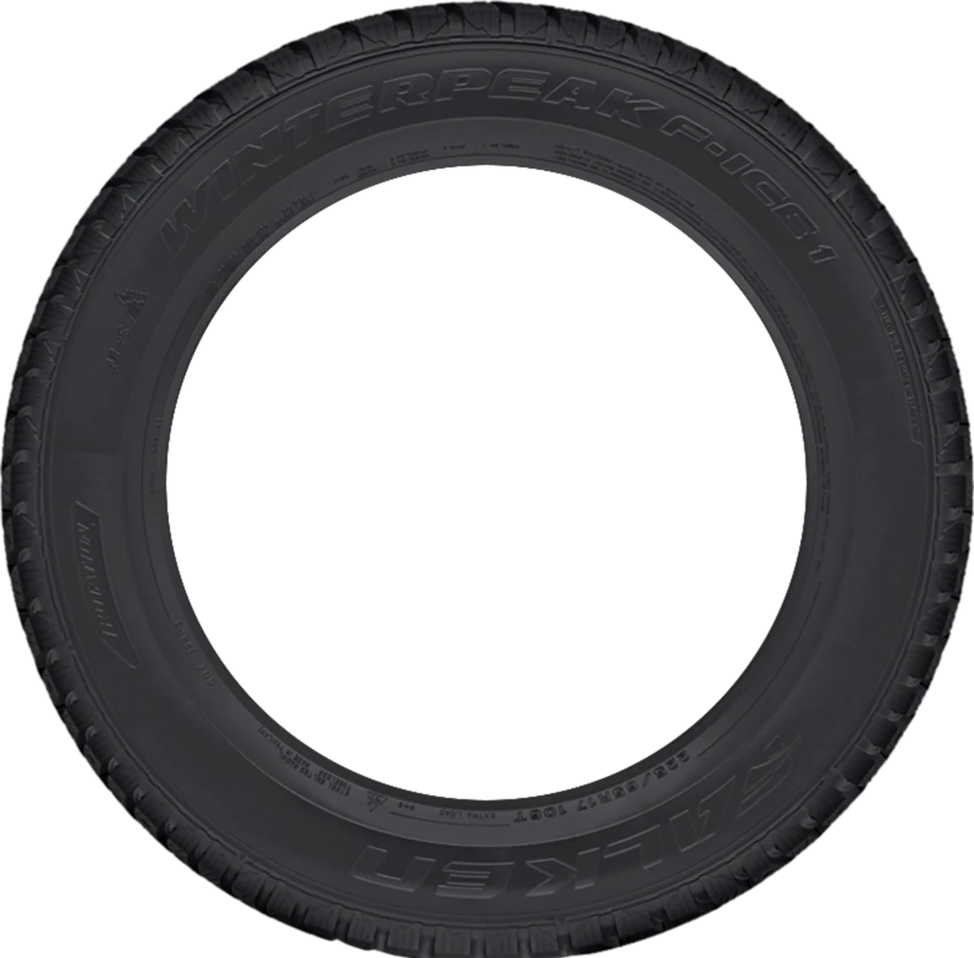 Falken - Winterpeak F-Ice 1