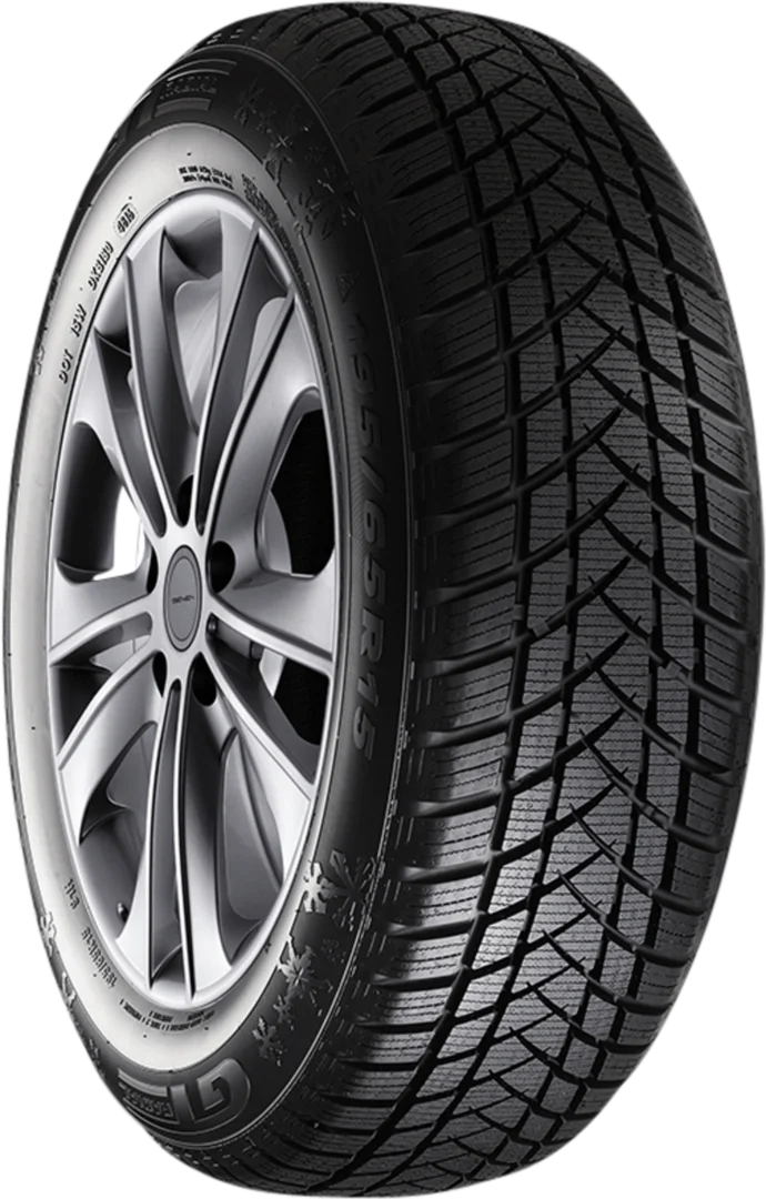 GT Radial - WinterPro2